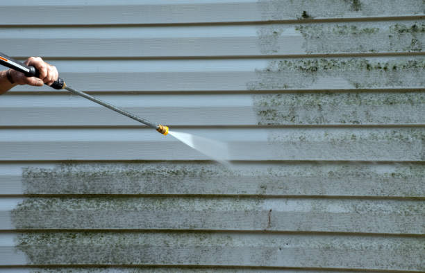 Best Patio and Deck Pressure Washing  in Green Village, NJ