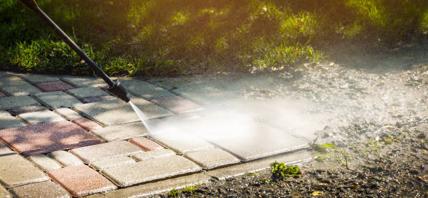 Best Driveway Pressure Washing  in Green Village, NJ